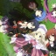Najlepsze anime sezonu jesiennego 2012